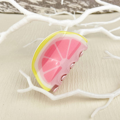 Fruit Rainbow Fun Hair Clip