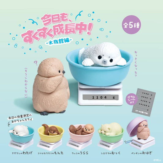 【JAPANESE BLINDBOX】GROWING UP: AQUARIUM EDITION