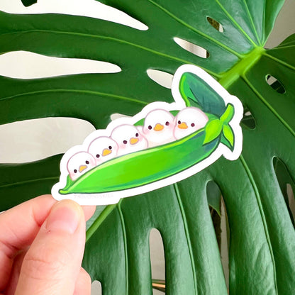 Peapod Duckies Vinyl Sticker | Waterproof Cute Duck Decal