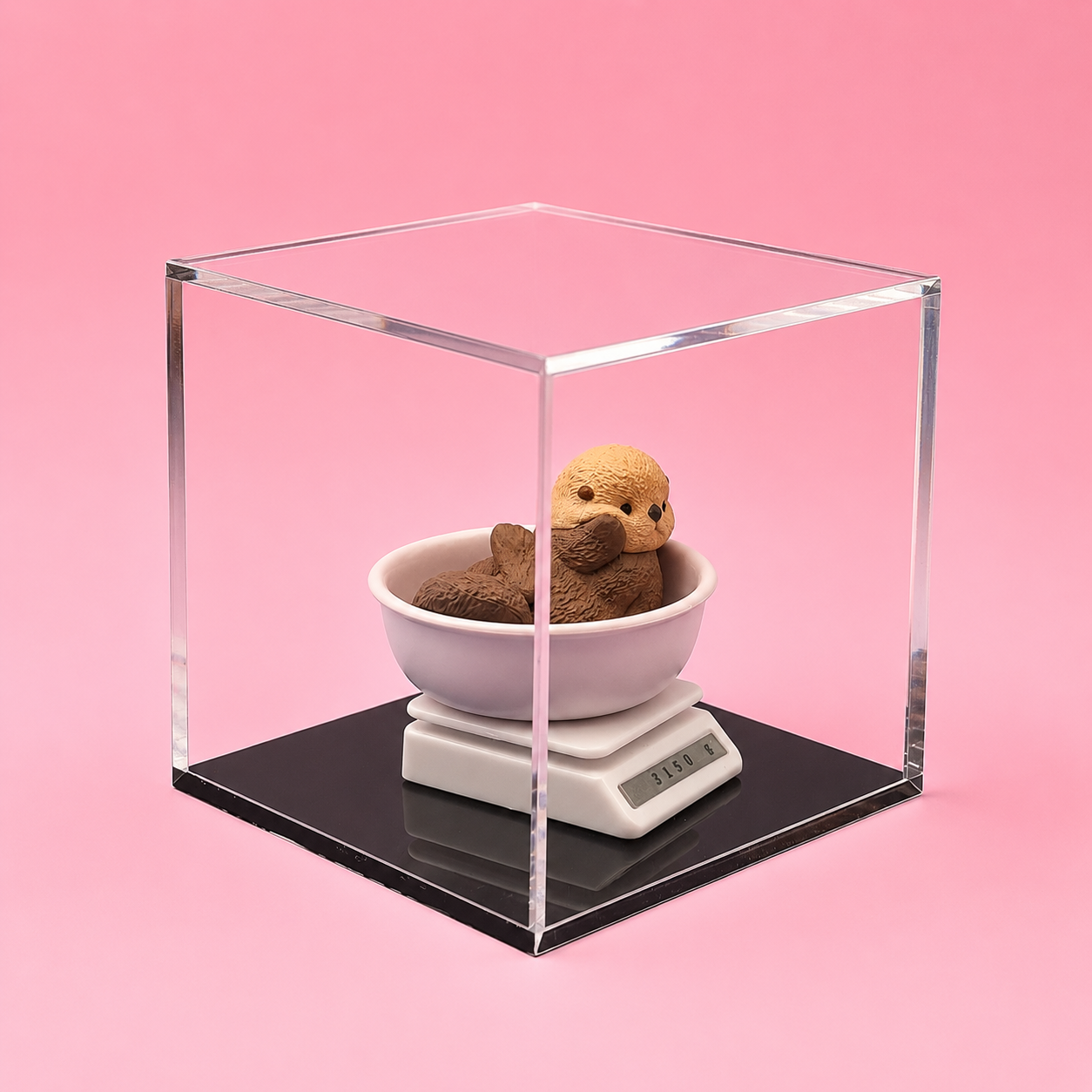 Clear Acrylic Display Case for Collectibles | Dustproof Display Box with Removable Lid | Available in 3" & 4"