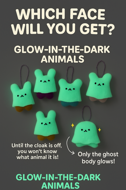 Glow in the Dark Ghost Plush Keychain Blind Box | Mystery Plush Charm