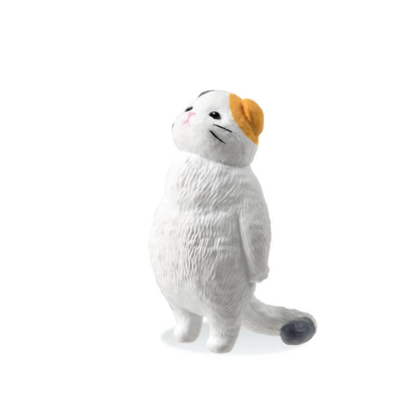 【JAPANESE BLIND BOX】FEEL NOTHING  SORA BLIND BOX