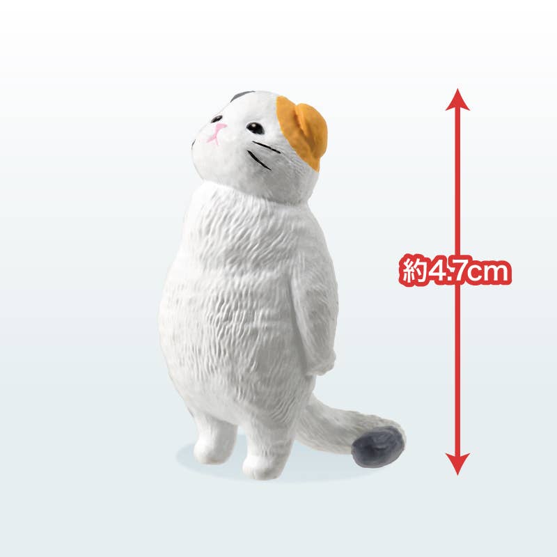 【JAPANESE BLIND BOX】FEEL NOTHING  SORA BLIND BOX